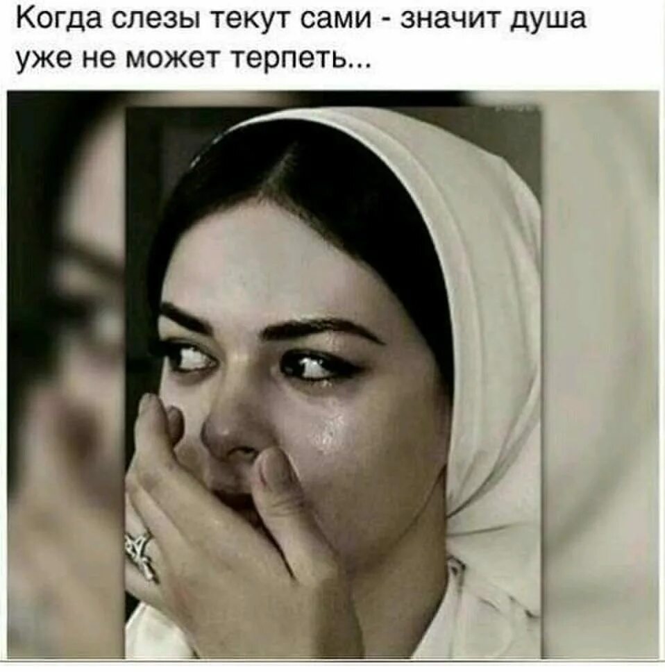 Коты мемы. У меня нет больше сил терпеть. Терпи прикол. Японка больше не может терпеть. У каждого человека существует предел предел чувств.