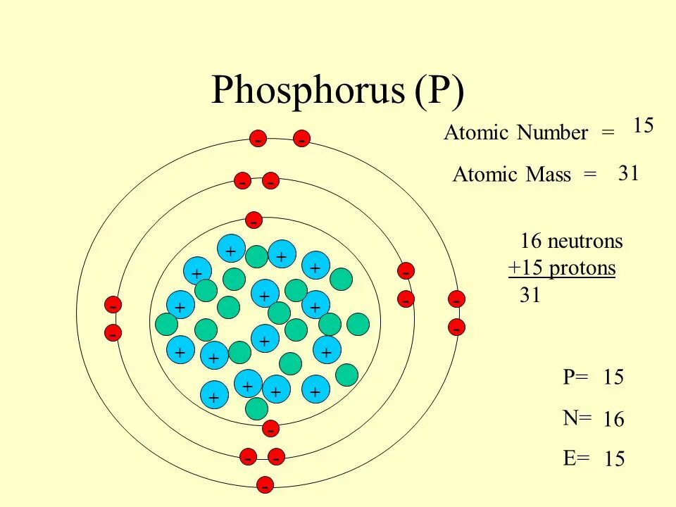 Строение атома элемента фосфор. Электронная модель атома фосфора. Фосфор атомная структура. Схема атома фосфора. Строение атома фосфора.