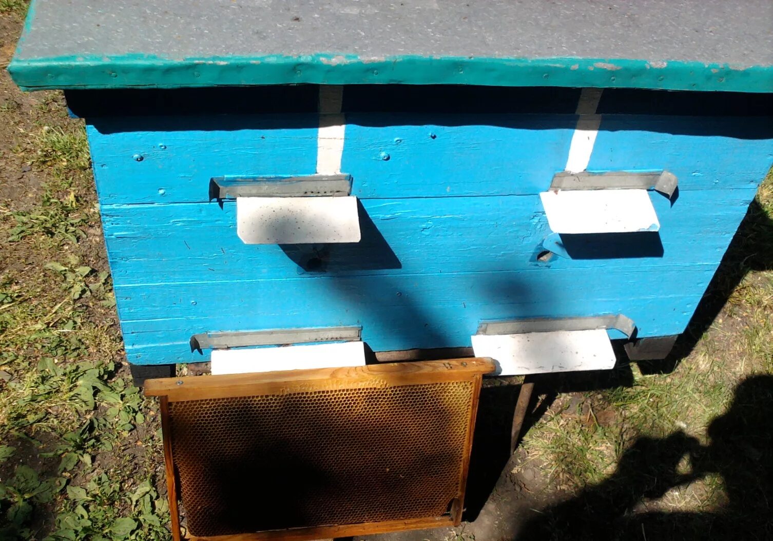 верхняя улья. верхняя улья. кассетный улей яковлева. улей дадан леток. пчелиный улей нуклеус.