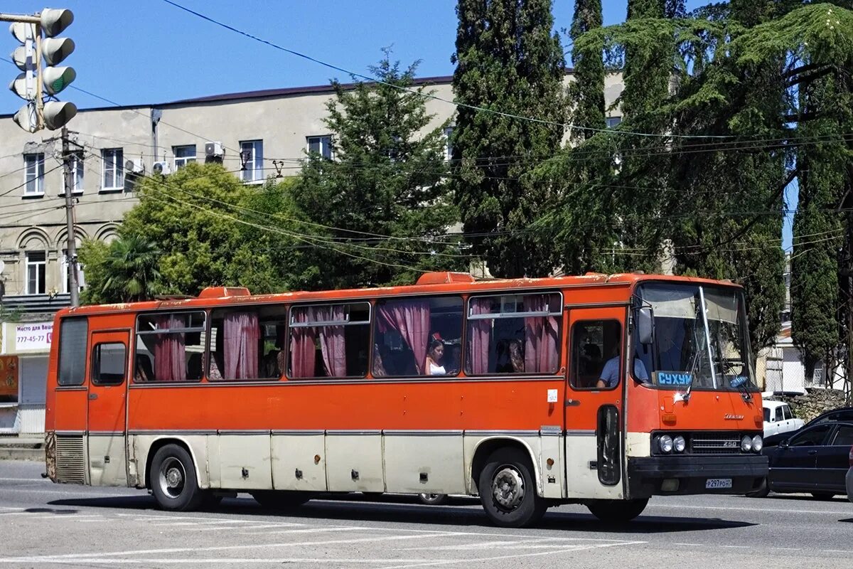 Автобусы сухуми. Икарус 250.59. Автобус Икарус 250.59. Икарус 250 Абхазии. Икарус 250.59 Главмосавтотранс.