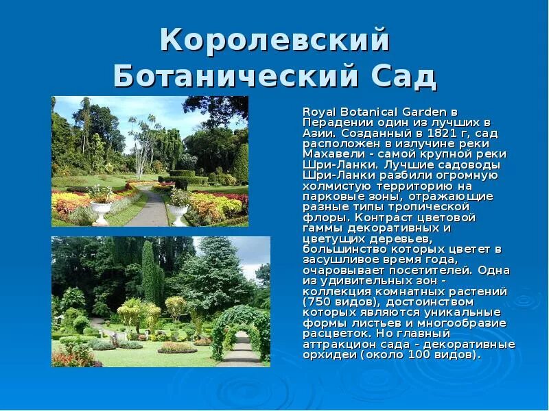 Сад и его обитатели. Презентация на тему сад растений. Сообщение про сад. Презентация на тему сад растений. Презентация на тему ботанические сады.