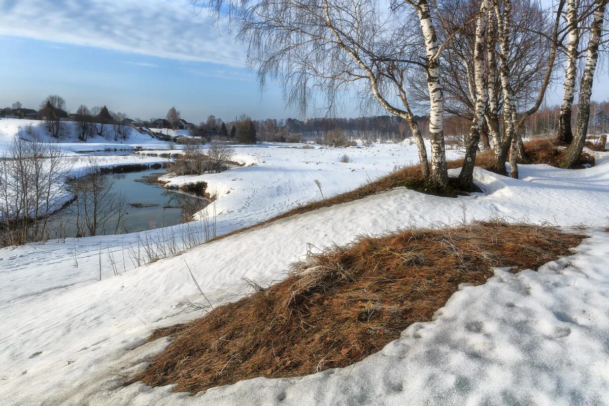 Весенняя проталинка левитана. Проталинки весной. Весенние проталины. Проталины. Проталины весной.