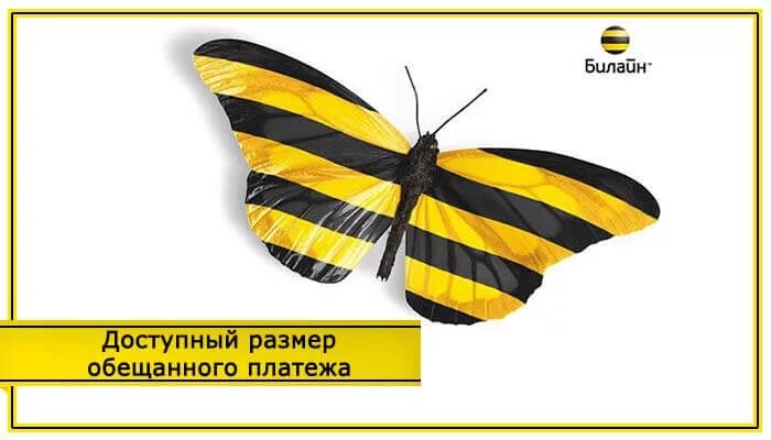 Долг билайн на телефон. Билайн. Билайн логотип. Билайн картинки. Значок Билайн картинка.