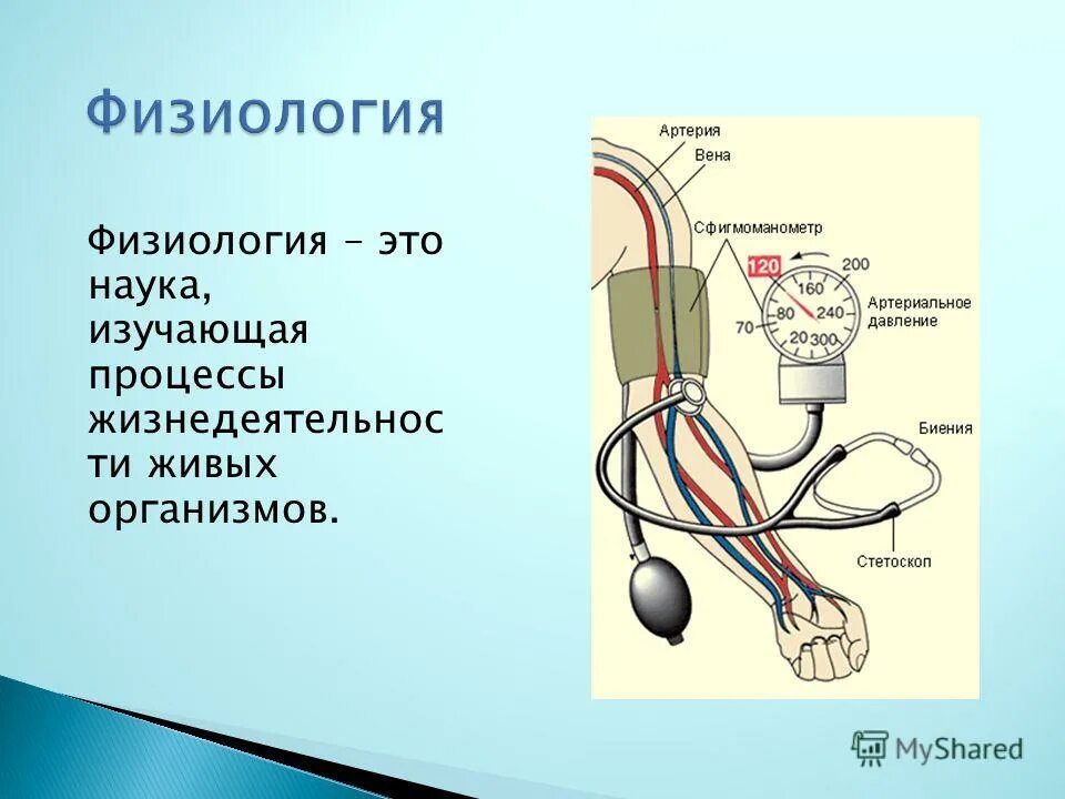 Физиология в биологии