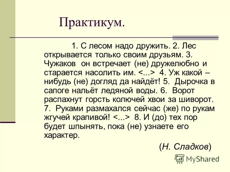 презентация наш лес. берегите леса сочинение. с лесом надо дружить. доклад жизнь леса. зеленый наряд нашей планеты.