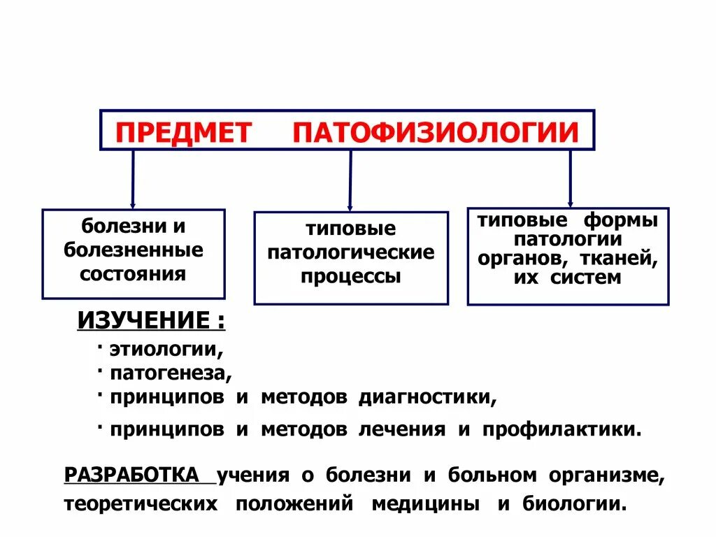 Типовые патологические процессы. Типовая форма патологии органов и систем. Нозология патофизиология. Типовые патологические процессы патофизиология.