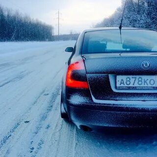 Задняя зима