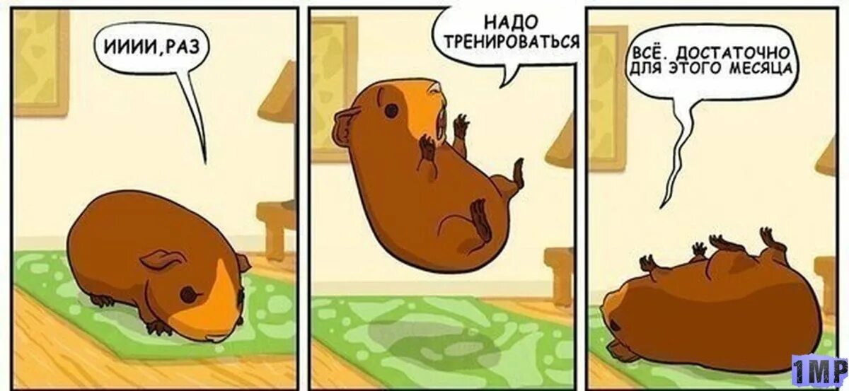 Мемы про хомяка игру. Хомяки приколы. Хомячки мемы. Мемы с хомяками. Хомяк испугался.