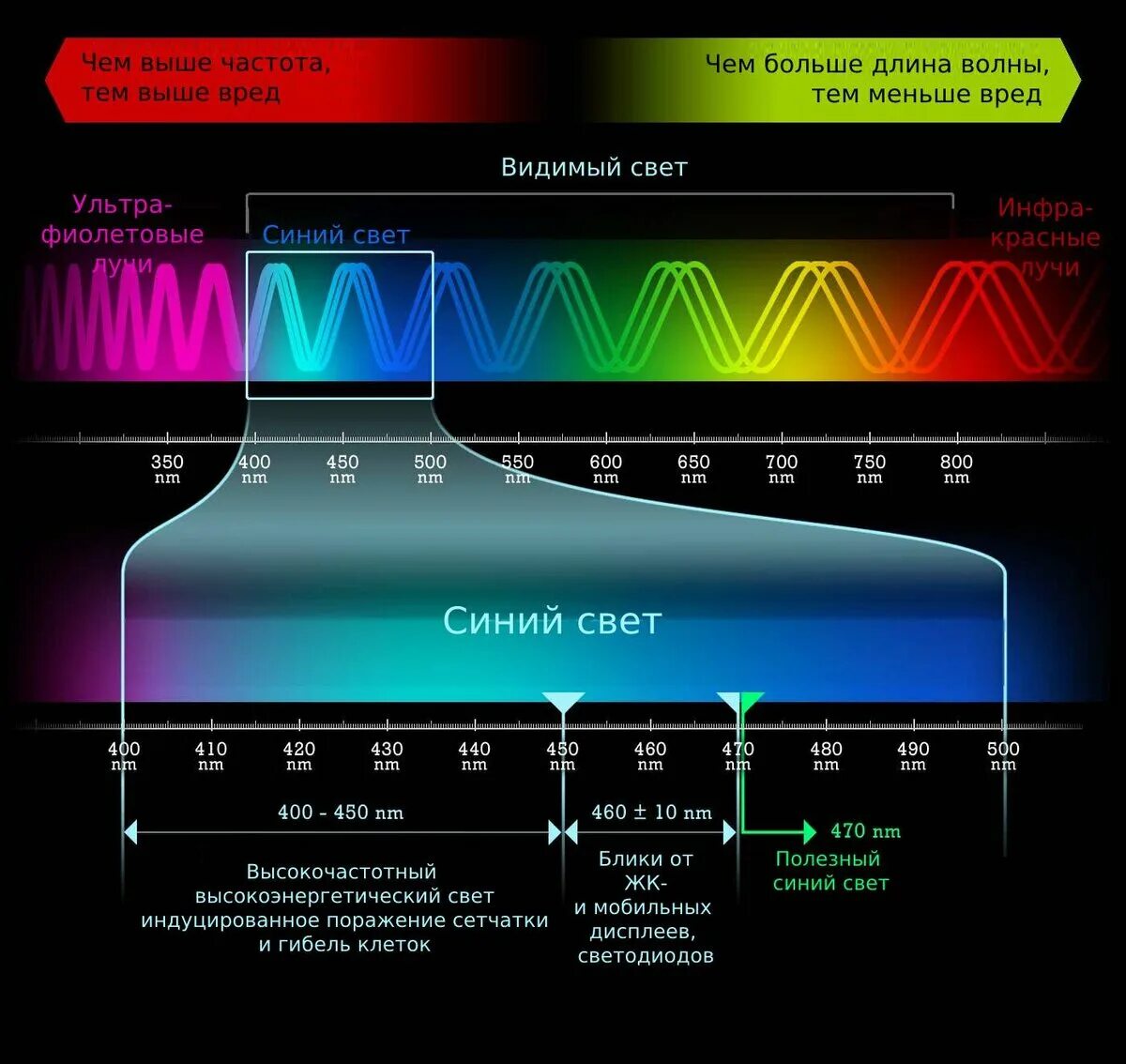 Синий свет диапазон. Световой диапазон. Световой спектр. Синий спектр света. Холодного спектра света излучение