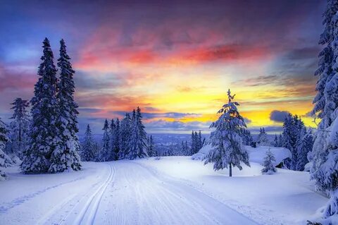Красивый зимний пейзаж