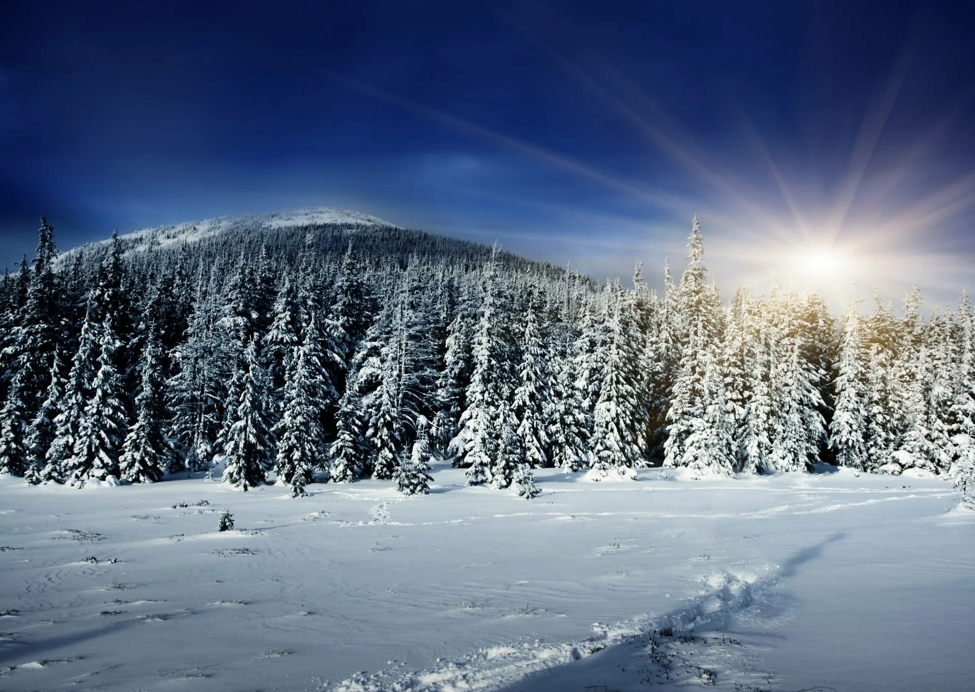 Красивый зимний лес. Зимний лес. Зимний пейзаж. Снежный пейзаж. Зимняя природа.