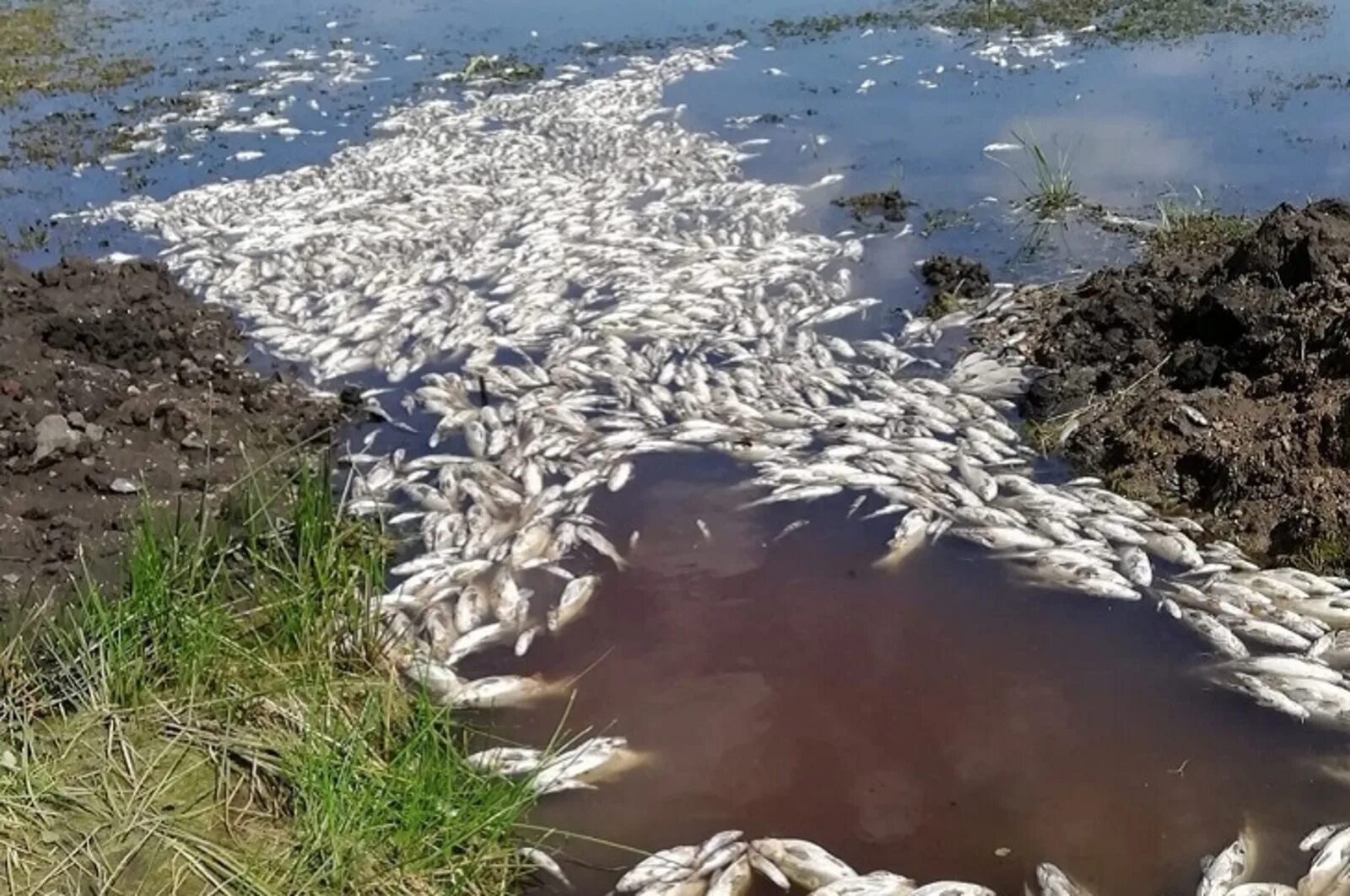 Вода в реках уфы. Худолаз Сибай. Река Худолаз. Река Худолаз Башкортостан.