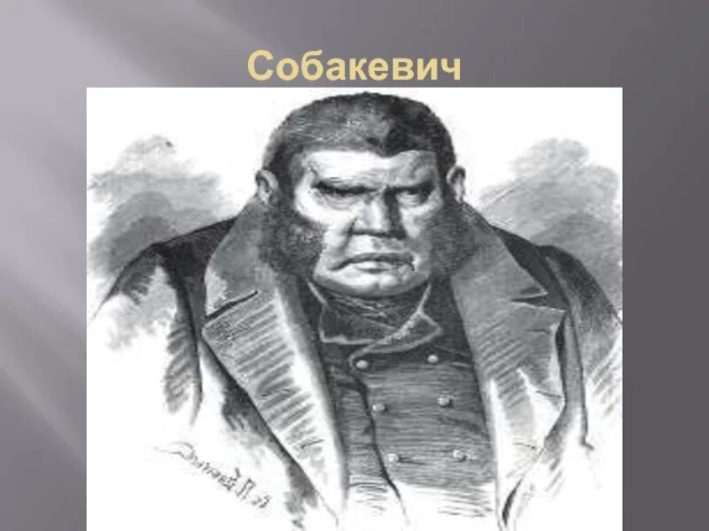 Сабакевич мертвые души. Собакевич мертвые души портрет. Мёртвые души Собакевич портреты помещиков. Собакевич Михайло Семеныч. Мертвые души иллюстрации Собакевич.