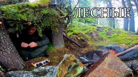 Выжить в лесу 10