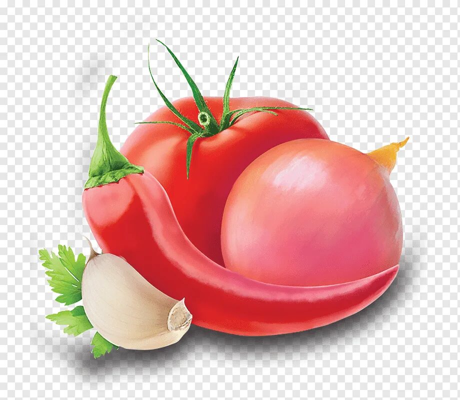 Tomato and onion and. Помидор и перец. Помидор вектор. Помидор и перец вектор. Помидоры лук перец.