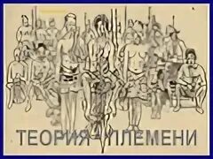 Стадии развития племен