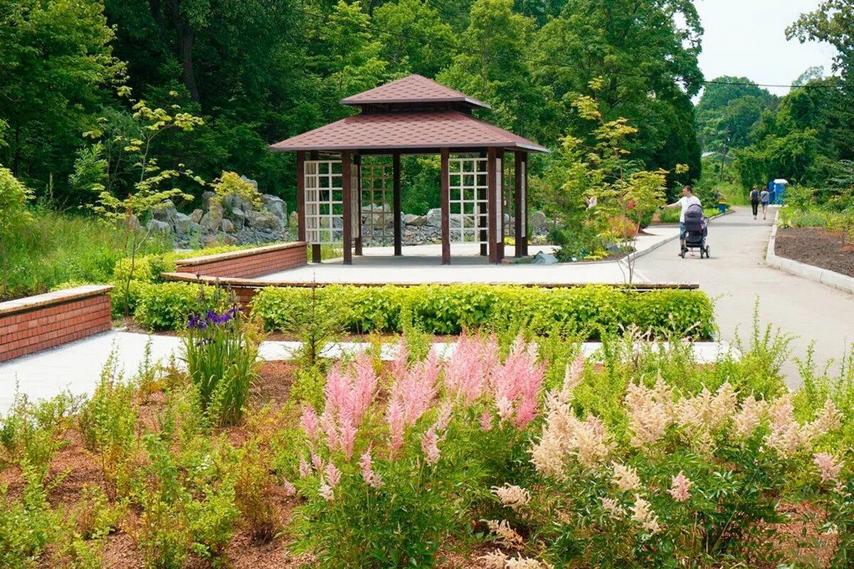 владивостокский ботанический сад владивосток. сад город приморский край. ботанический сад владивосток. оранжерея владивосток ботанического сада-института дво. сад город приморский край.