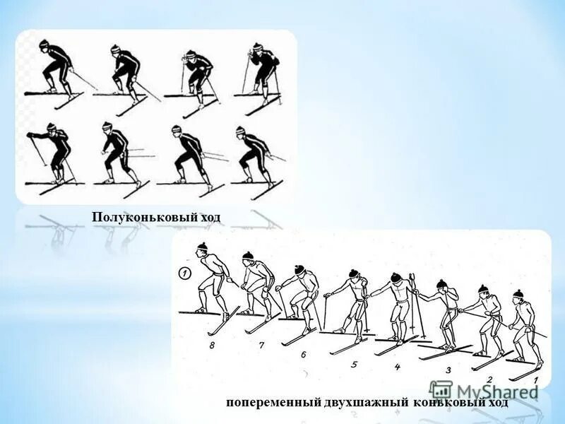 Попеременный двухшажный ход грубая ошибка. Попеременный двухшажный ход техника хода. Попеременный двухшажный ход грубая ошибка. Попеременный двухшажный ход грубая ошибка. Ошибки при передвижении попеременным двухшажным ходом.