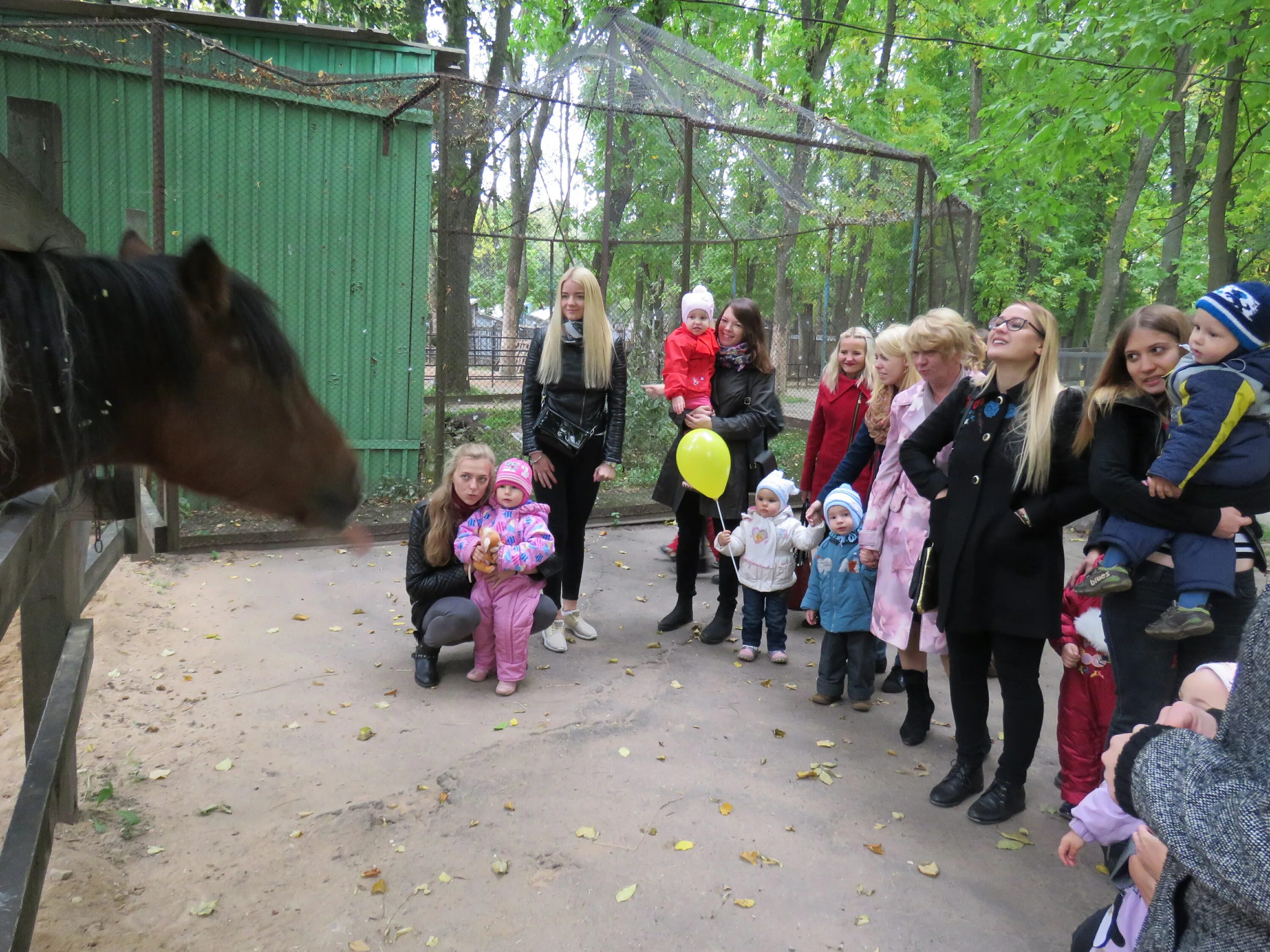 Витебский зоопарк. Витебский зоопарк картинки. Есть зоопарк в Витебске. Контактный зоопарк в Витебске. Зоопарк витебск