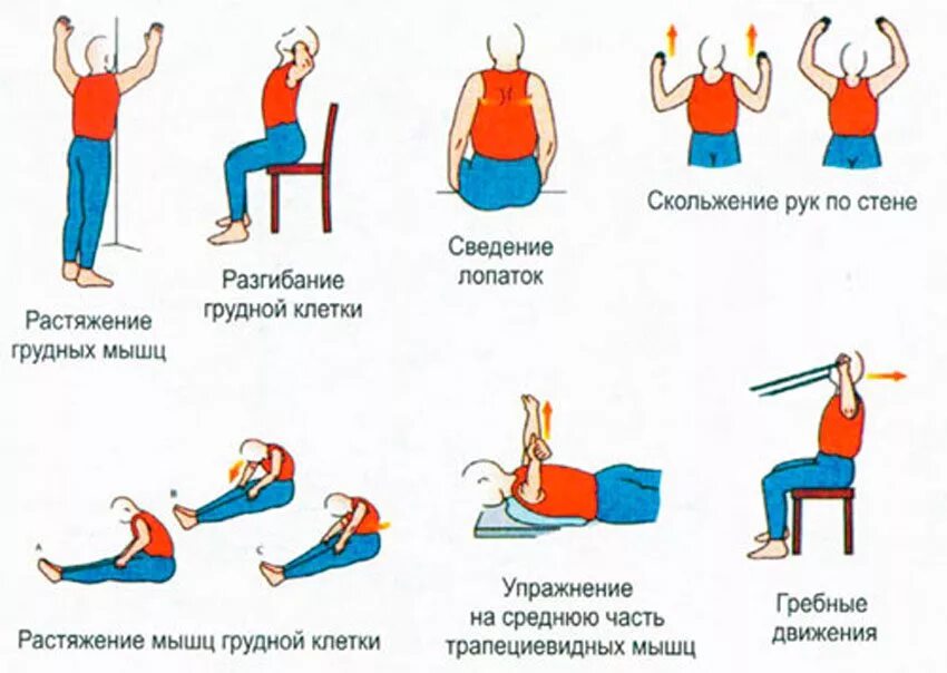 Помощь пояснице. Защемление в грудном отделе позвоночника упражнения. Гимнастика при защемлении нерва между лопаток. Лечебная гимнастика грудного отдела позвонка.