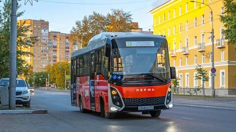 Экспресс пермь телефон