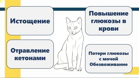 Сахар у собак симптомы