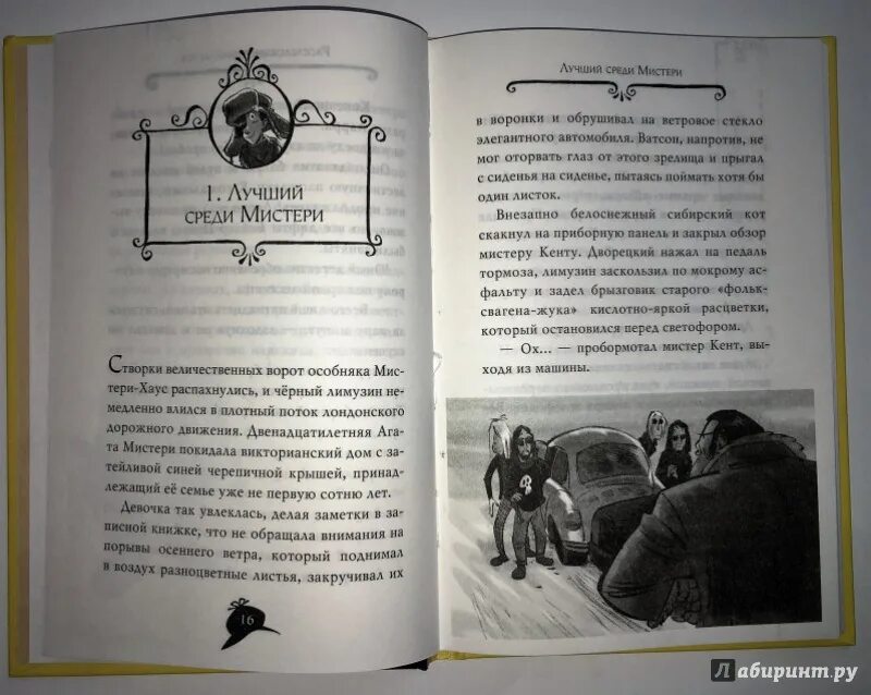 Охота за призраком книга