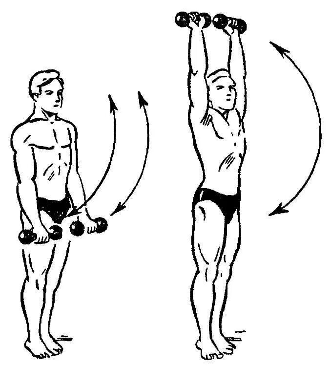 Гантель 2 упражнения. Упражнения с гантелями. Схема упражнений с гантелями. Занятия с гантелями для мышц. Упражнения с гантелями для мышц плечевого пояса.