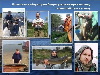 Ихтиолог чем занимается для 2 класса