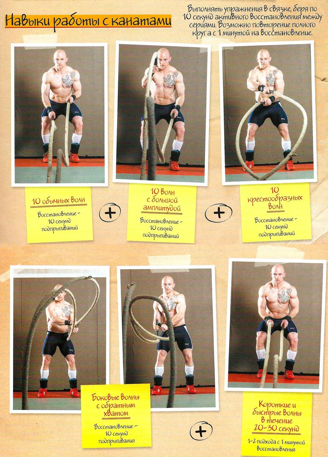 Техника лазания по канату без ног. Упражнения с канатом. Упражнение с канатом волна. Канаты какие мышцы работают. Лазанье по канату по физкультуре.