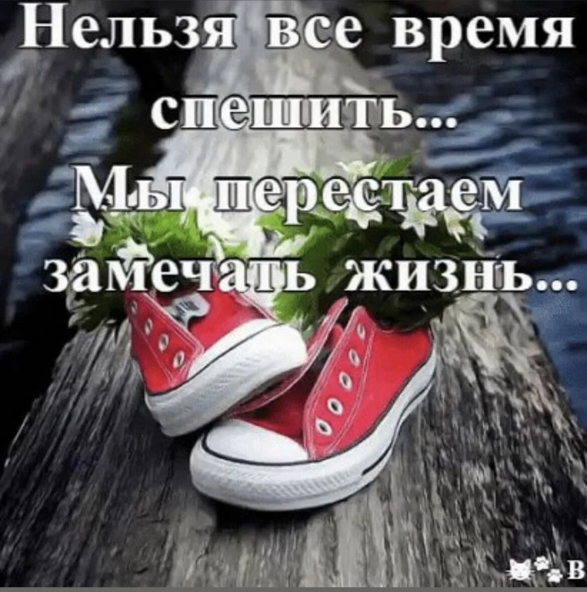 Давайте начнем замечать. Нельзя все время спешить. нельзя все время спешить мы перестаем замечать жизнь. спешите жить. мы все время спешим.