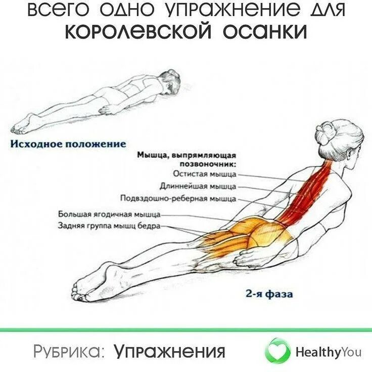 Как выпрямить осанку и укрепить мышцы спины