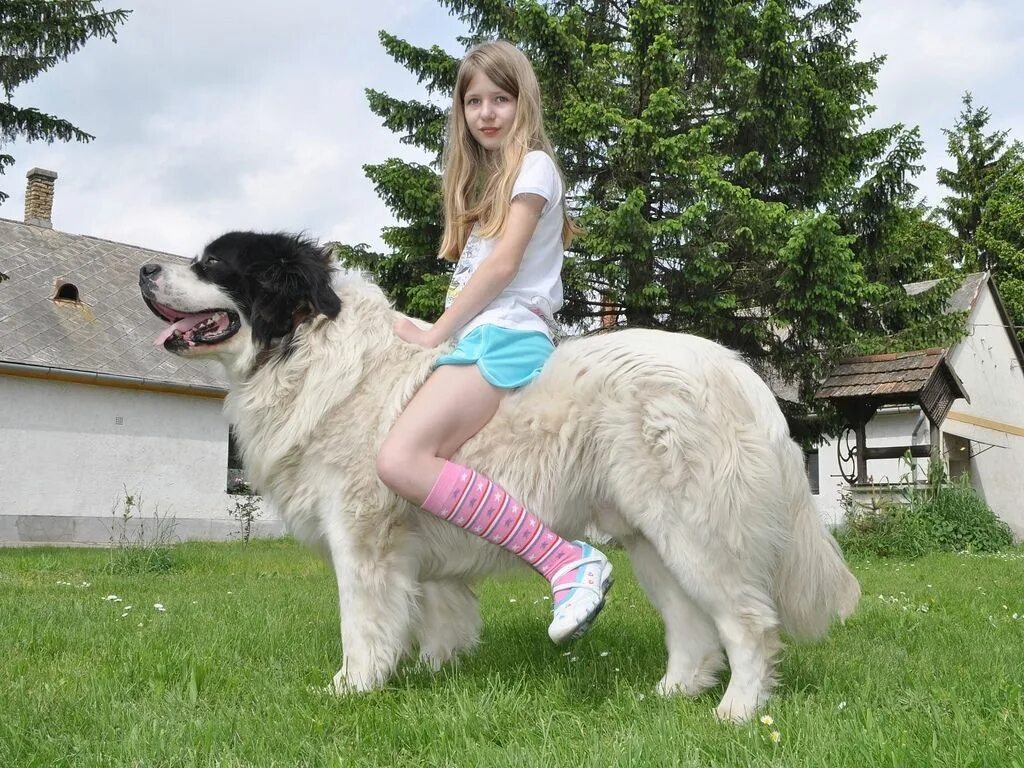 Girl riding dog