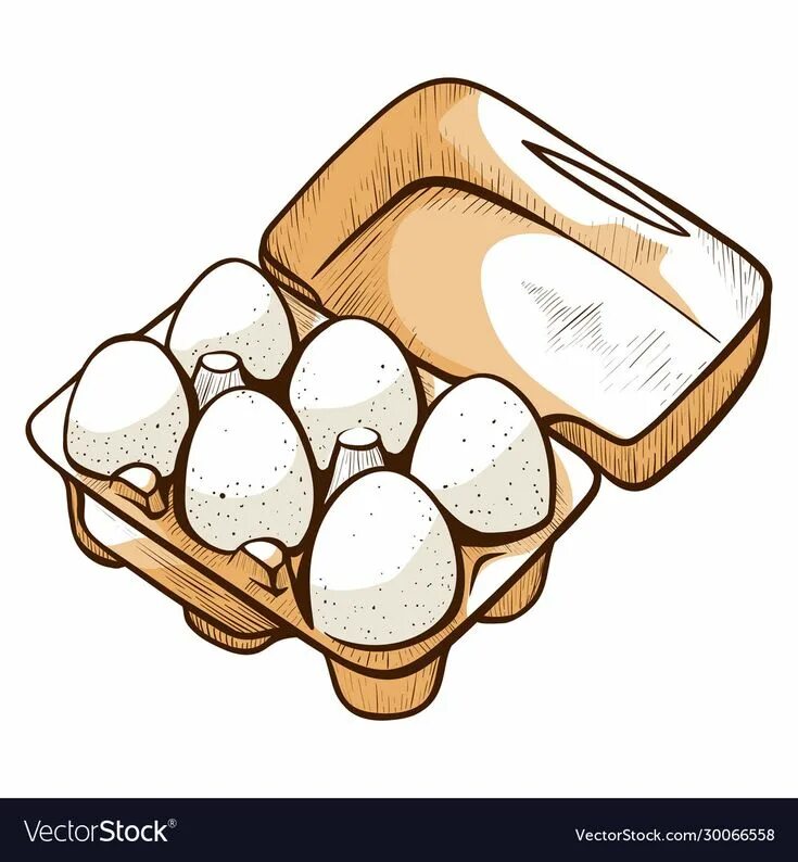 Eggs are there in the box