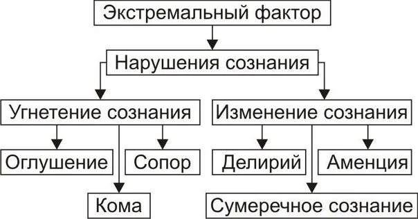 Пример деятельности и сознания Роль сознания человека