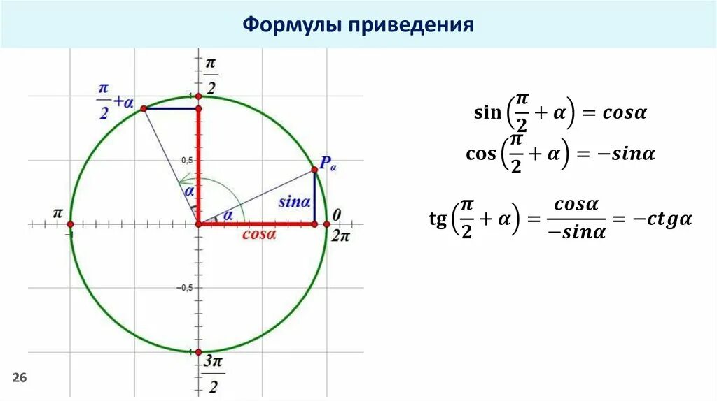 Алгоритм формул приведения в тригонометрии. Формулы приведения единичная окружность. Формулы приведения в тригонометрии. Триг формулы приведения. Формулы приведения sin2x.