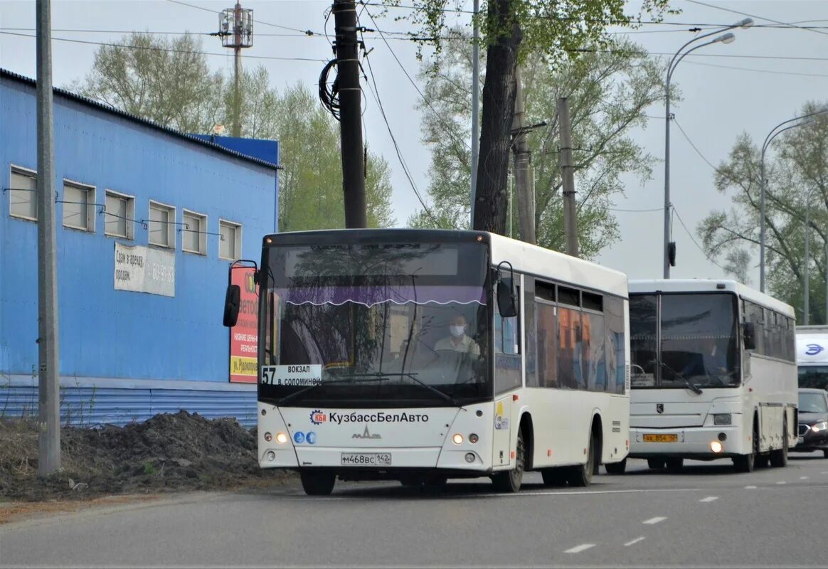 244 автобус кемерово. МАЗ 206.068 Кемерово. Автобус МАЗ Кузбасс 206. МАЗ 206 Кемерово. НЕФАЗ-5299 10-08 Кузбасс.