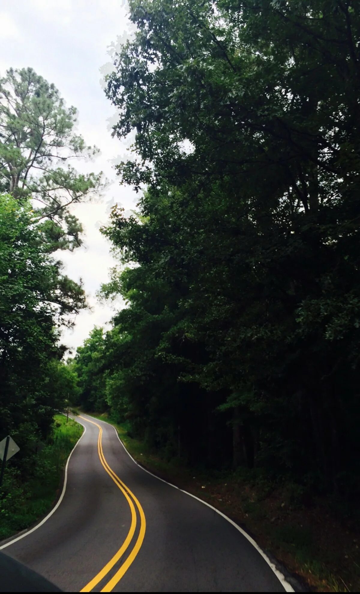 Lane road. Полосы на дороге. Лес возле дороги. Лес рядом с дорогой. Дорога рядом с лесом.