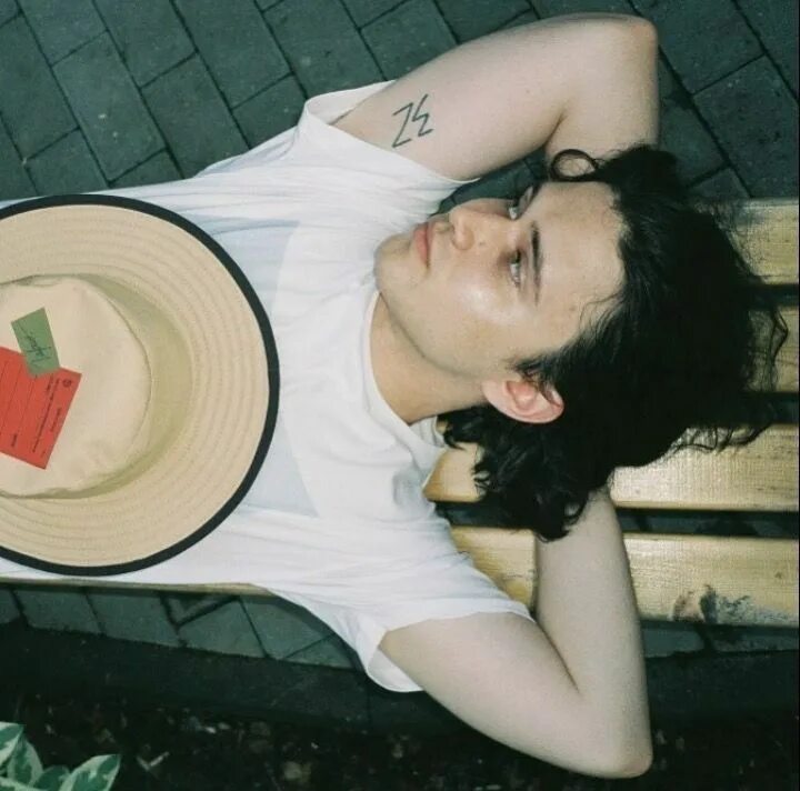 Жена салуки. Жена салуки. Афганская борзая. Жена салуки. Салуки и аника.