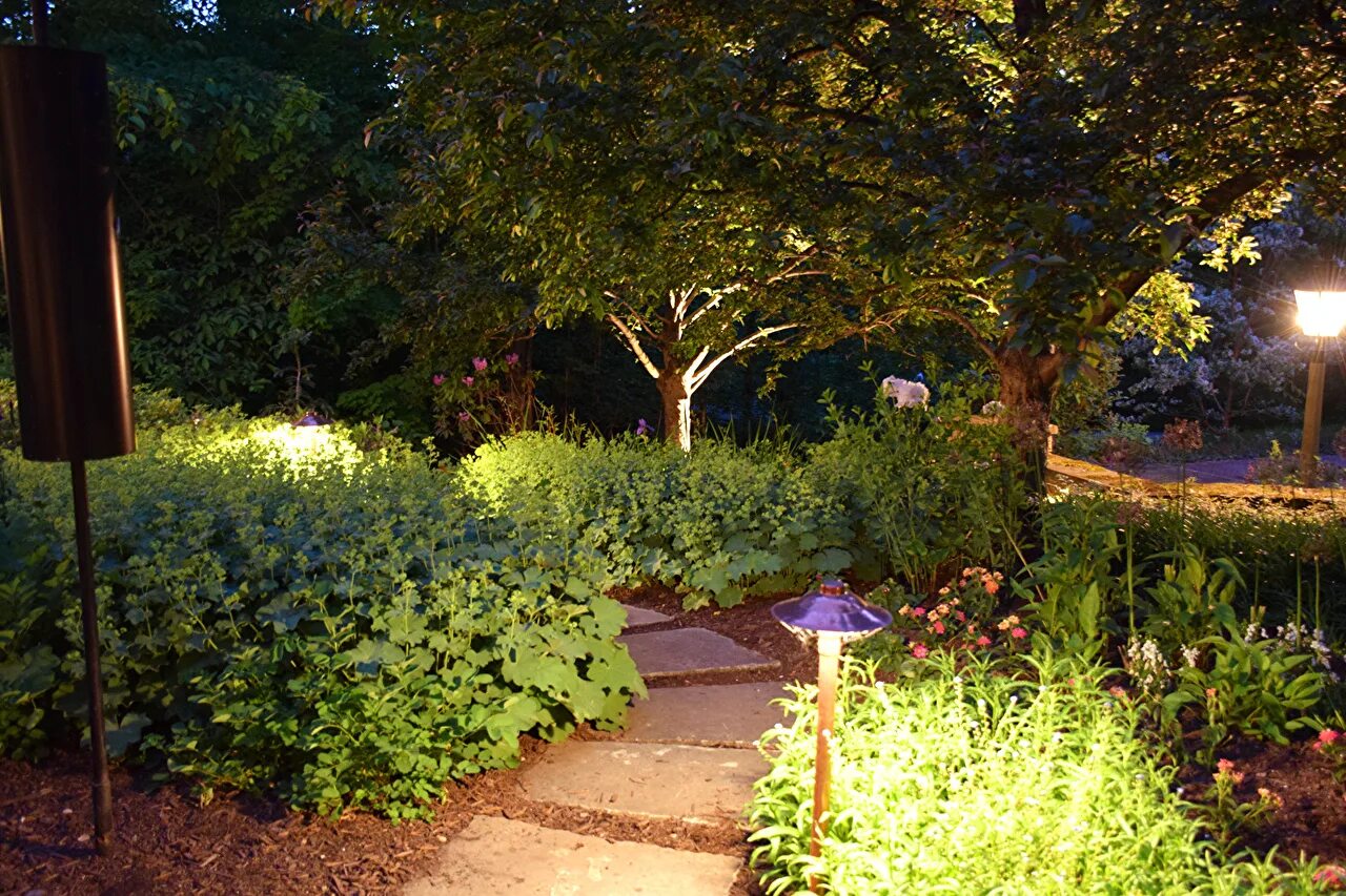 Я пошла вправо через кусты. Сад ночью. Подсветка кустарников. Озеленение ночью. Панорама сад.