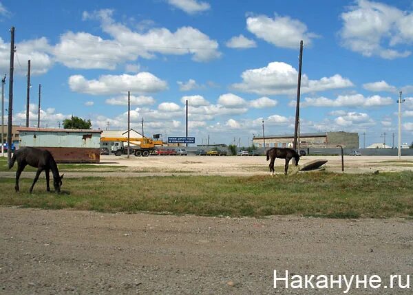 Село Варна Челябинская область. Достопримечательности села Варна Челябинской области. Деревня Варна Челябинская область. Варна челябинская сайт