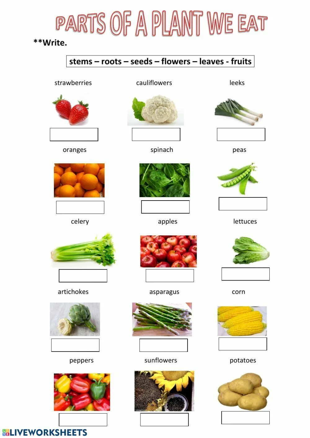 Different part. Parts plant eat. partitives of food exercises. food from plants worksheet. what plant parts we eat.