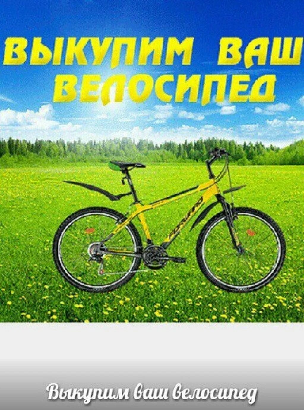 Скупка велосипедов б у. Скупка велосипедов. выкуп велосипедов. срочный выкуп велосипедов. выкуп велосипедов бу.
