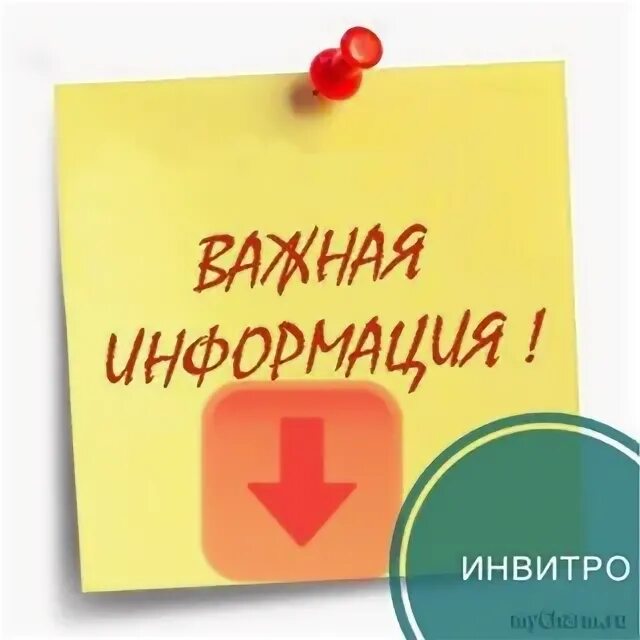 Инвитро рославль телефон рославль телефоны