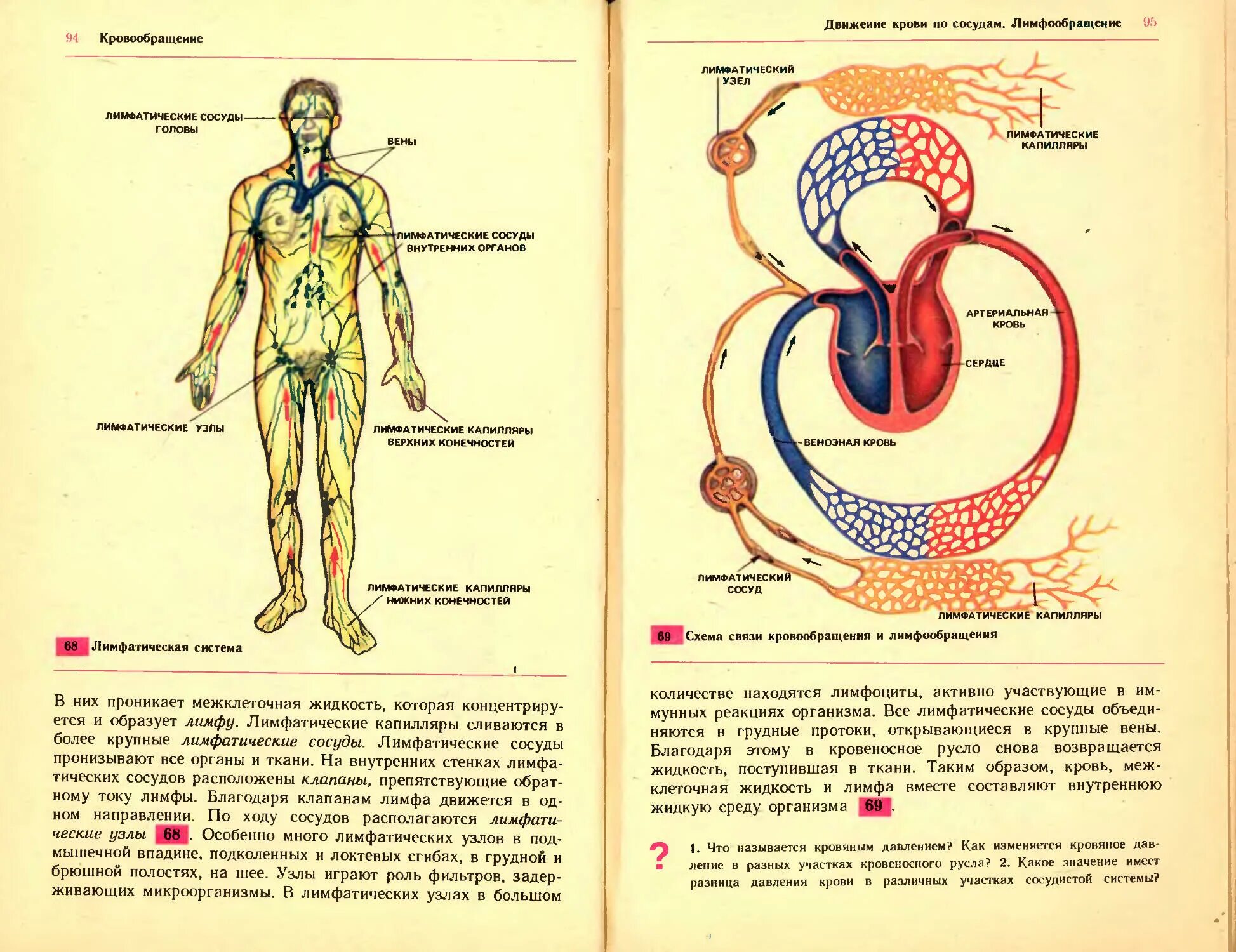 Биология 9 домашнее. Биология 9 класс а.м Цузмер. Книга по биологии 9 класс Цузмер. Биология Цузмер Петришина. Биология человека Цузмер.