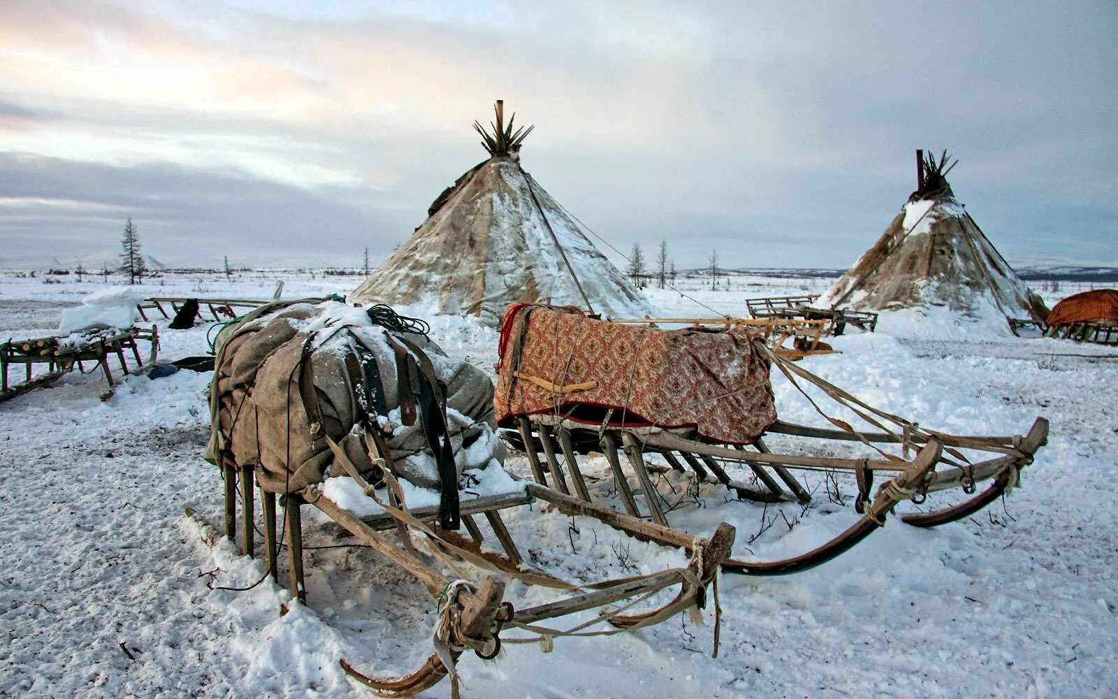 Нганасаны ненцы