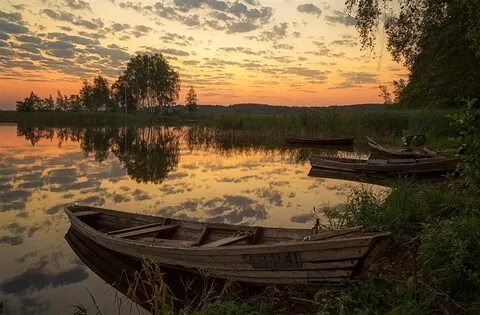 Тихая пристань