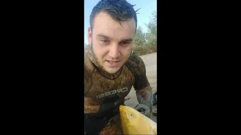 Амур золото отзывы
