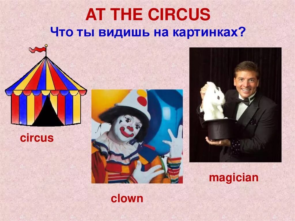 Тема по английскому языку в цирке. Урок цирк на английском языке. Цирк английский 2 класс. Клоун в цирке английский 2 класс.