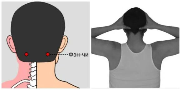 Точки на затылке. Точка фэн чи. Точки фэн чи на затылке. Точка 20 на телефон